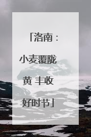 洛南：小麦覆陇黄 丰收好时节