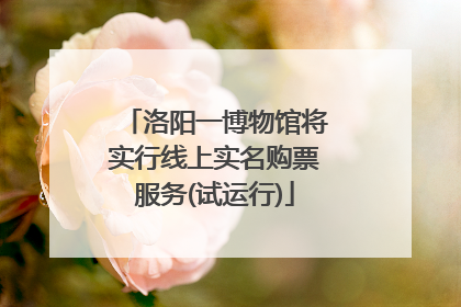 洛阳一博物馆将实行线上实名购票服务(试运行)