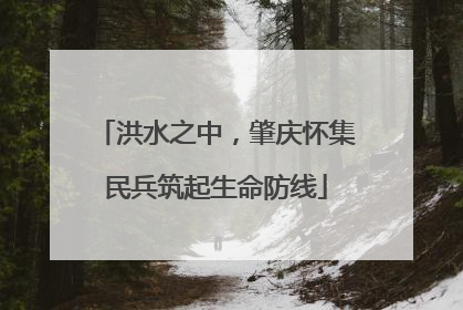 洪水之中，肇庆怀集民兵筑起生命防线