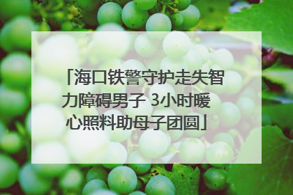 海口铁警守护走失智力障碍男子 3小时暖心照料助母子团圆