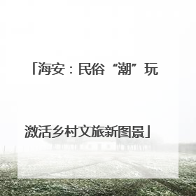 海安：民俗“潮”玩激活乡村文旅新图景