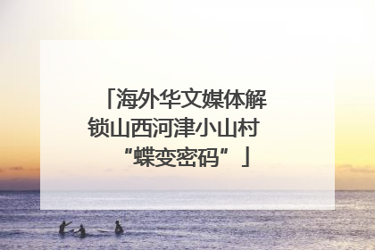 海外华文媒体解锁山西河津小山村“蝶变密码”