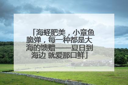 海蛏肥美,小章鱼脆弹,每一种都是大海的馈赠——夏日到海边 就爱那口鲜