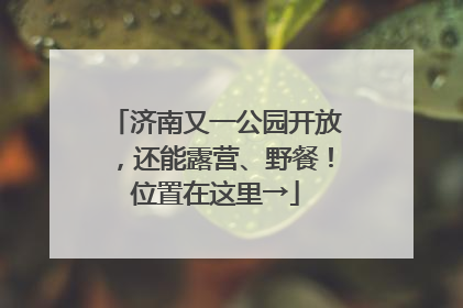 济南又一公园开放，还能露营、野餐！位置在这里→