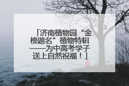 济南植物园“金榜题名”植物特辑——为中高考学子送上自然祝福！