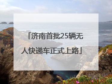 济南首批25辆无人快递车正式上路