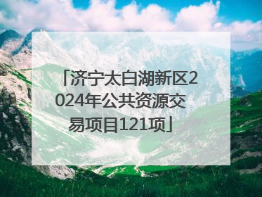 济宁太白湖新区2024年公共资源交易项目121项