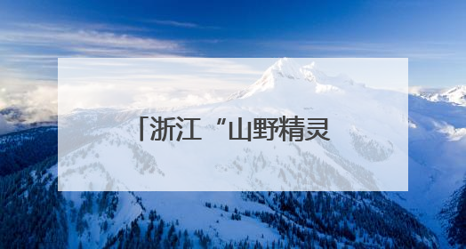 浙江“山野精灵”成长记：万物共生绘就和美画卷