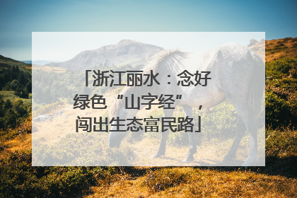 浙江丽水：念好绿色“山字经”，闯出生态富民路