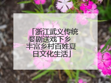 浙江武义传统婺剧送戏下乡 丰富乡村百姓夏日文化生活