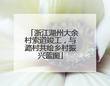 浙江湖州大余村索道竣工，与潞村共绘乡村振兴蓝图