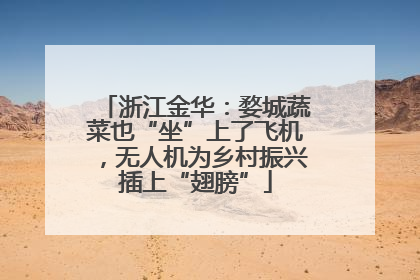 浙江金华：婺城蔬菜也“坐”上了飞机，无人机为乡村振兴插上“翅膀”