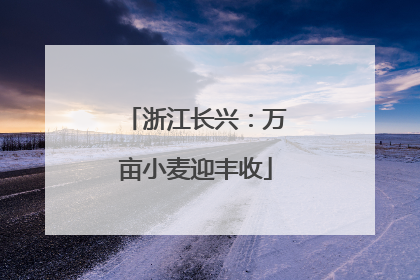 浙江长兴：万亩小麦迎丰收