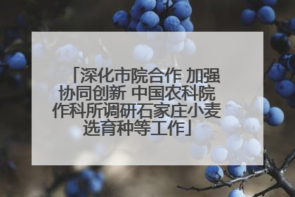 深化市院合作 加强协同创新 中国农科院作科所调研石家庄小麦选育种等工作