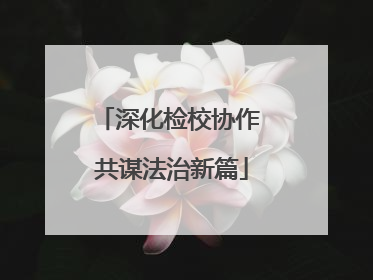 深化检校协作 共谋法治新篇