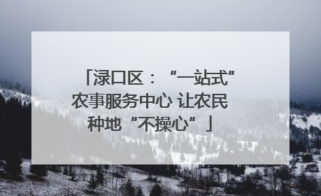 渌口区：“一站式”农事服务中心 让农民种地“不操心”