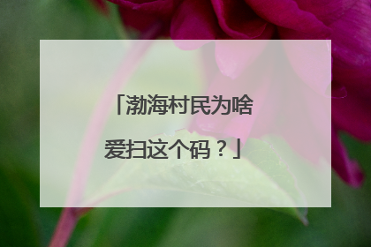 渤海村民为啥爱扫这个码？
