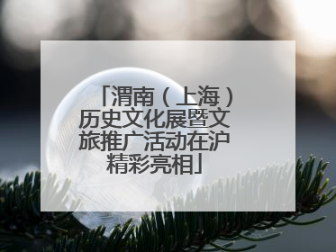 渭南（上海）历史文化展暨文旅推广活动在沪精彩亮相