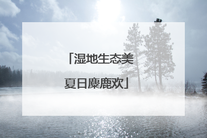 湿地生态美 夏日麋鹿欢