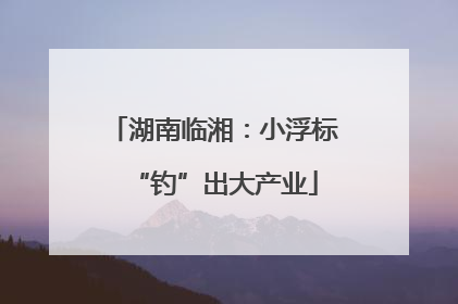 湖南临湘：小浮标“钓”出大产业