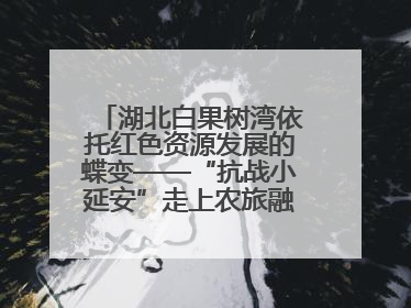 湖北白果树湾依托红色资源发展的蝶变——“抗战小延安”走上农旅融合振兴路