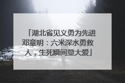 湖北省见义勇为先进邓章明：六米深水勇救人，生死瞬间显大爱