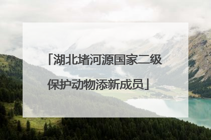 湖北堵河源国家二级保护动物添新成员
