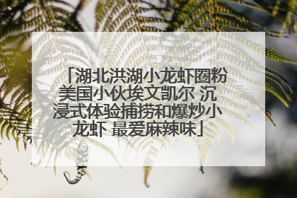 湖北洪湖小龙虾圈粉美国小伙埃文凯尔 沉浸式体验捕捞和爆炒小龙虾 最爱麻辣味