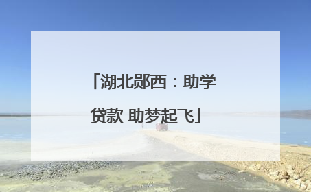 湖北郧西：助学贷款 助梦起飞