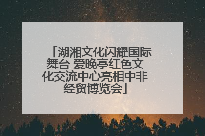 湖湘文化闪耀国际舞台 爱晚亭红色文化交流中心亮相中非经贸博览会