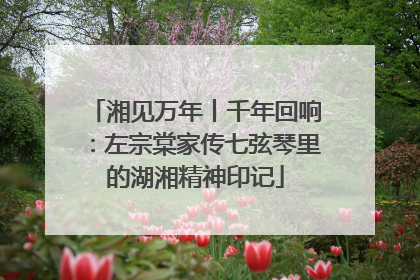 湘见万年丨千年回响：左宗棠家传七弦琴里的湖湘精神印记