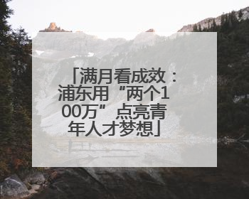 满月看成效：浦东用“两个100万”点亮青年人才梦想