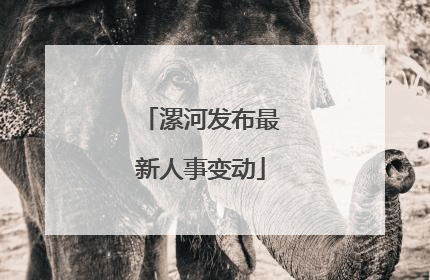 漯河发布最新人事变动