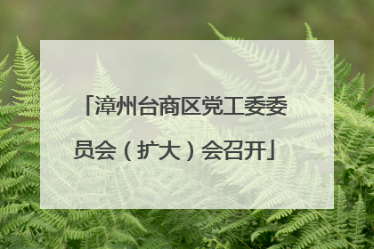 漳州台商区党工委委员会（扩大）会召开