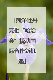 菏泽牡丹亮相“哈洽会”撬动国际合作新机遇