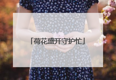 荷花盛开守护忙