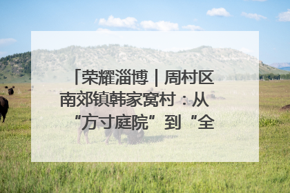 荣耀淄博｜周村区南郊镇韩家窝村：从“方寸庭院”到“全域文明”，乡村振兴的“美学革命”