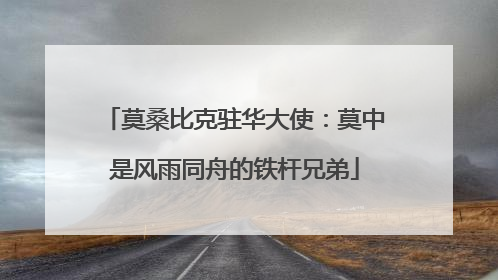 莫桑比克驻华大使：莫中是风雨同舟的铁杆兄弟