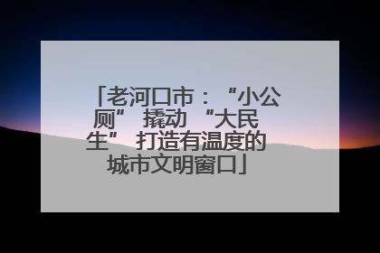 老河口市：“小公厕” 撬动 “大民生” 打造有温度的城市文明窗口