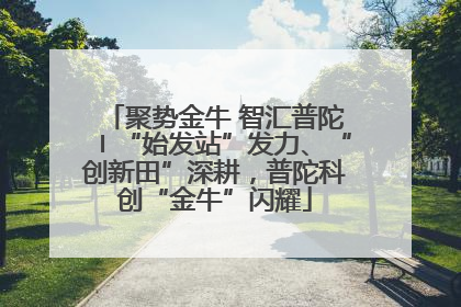 聚势金牛 智汇普陀〡“始发站”发力、“创新田”深耕，普陀科创“金牛”闪耀