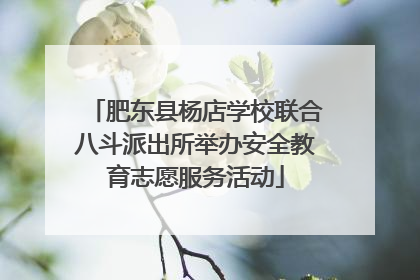 肥东县杨店学校联合八斗派出所举办安全教育志愿服务活动