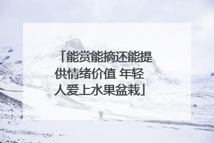 能赏能摘还能提供情绪价值 年轻人爱上水果盆栽