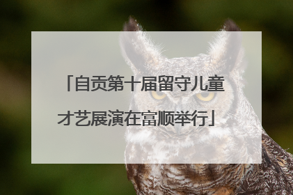 自贡第十届留守儿童才艺展演在富顺举行