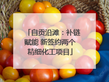 自贡沿滩：补链赋能 新签约两个精细化工项目