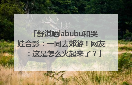舒淇晒labubu和哭娃合影：一同去郊游！网友：这是怎么火起来了？