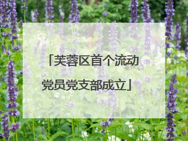 芙蓉区首个流动党员党支部成立