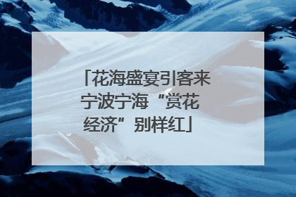 花海盛宴引客来 宁波宁海“赏花经济”别样红