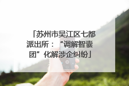 苏州市吴江区七都派出所：“调解智囊团”化解涉企纠纷