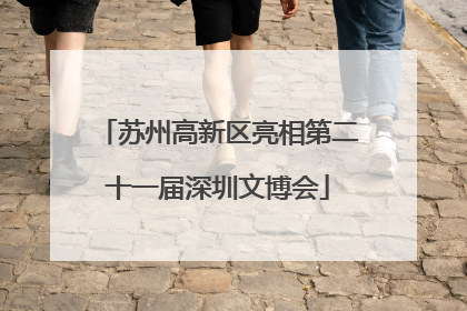 苏州高新区亮相第二十一届深圳文博会