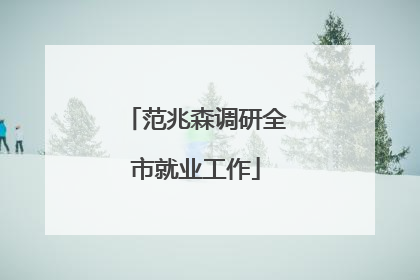 范兆森调研全市就业工作